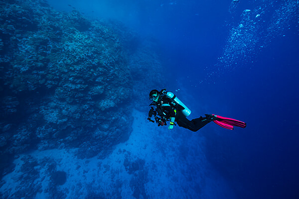 Deep Dive Course Cairns